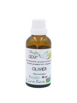 Olivier Bio - Macérat...