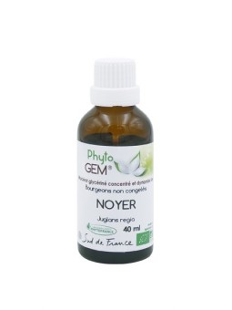 Noyer Bio - Macérat...