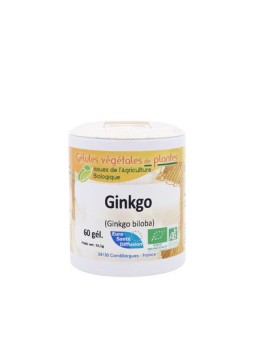 Ginkgo Bio - Gélules...
