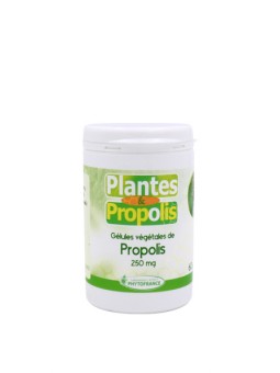 Propolis - Plantes &...