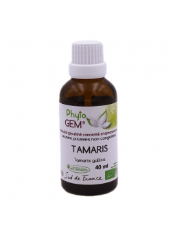 Tamaris - Macérat glycériné...