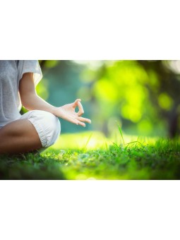 Millepertuis Parties...