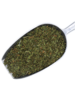 Livèche feuille - Plante...