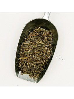 Alchémille Vulgaire parties...