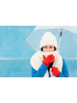 Acérola Poudre du Jus de...