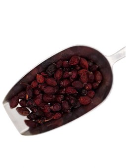 Cynorrhodon Bio Baie avec...