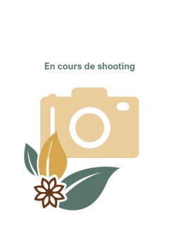 Astragale racine coupée MP