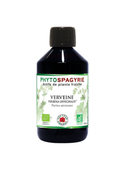 VERVEINE - Extrait...