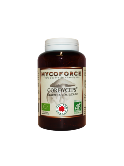 CORDYCEPS - Poudre de...