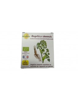 ANGELICA SINENSIS 20x15