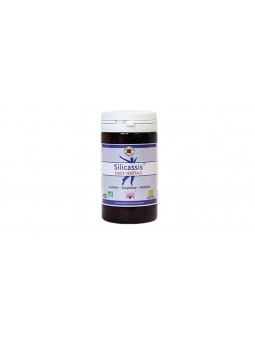 SILICASSIS 180GEL