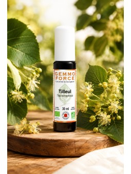 TILLEUL - Concentré...