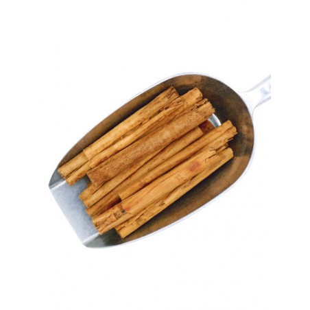 Cannelle tuyau plante sèche