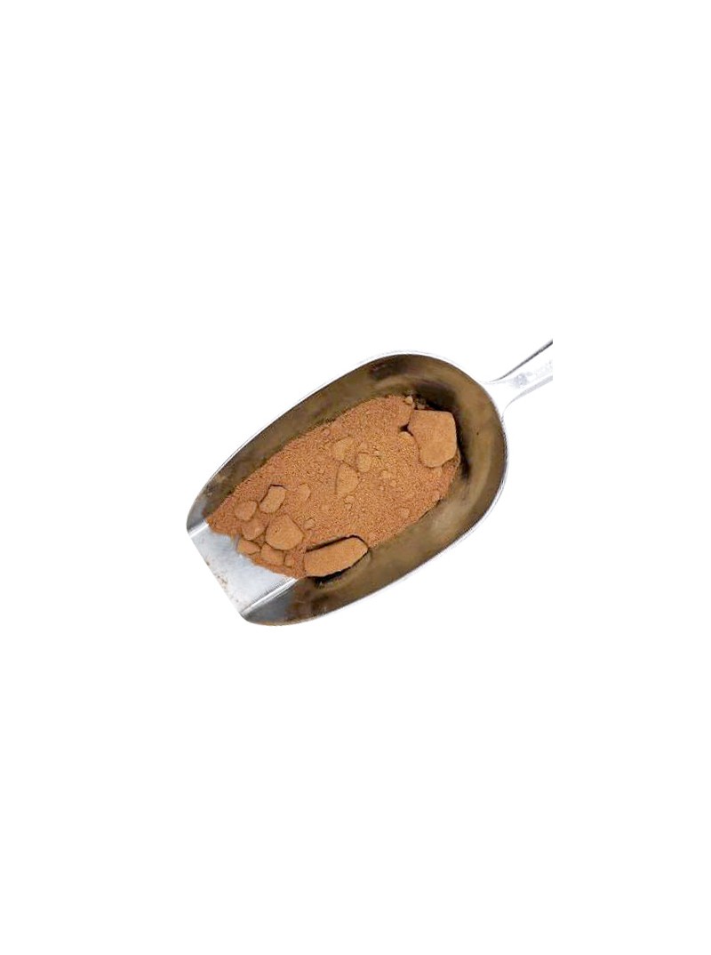 Guarana graines réduites en poudre bio vrac plante sèche