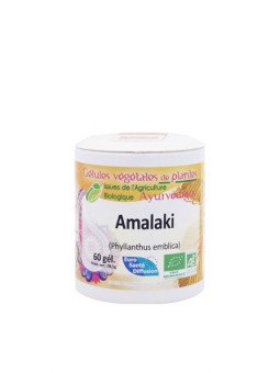 Amalaki bio gélules végétales de plantes, action sur les troubles digestifs, antioxydant, renforce le système immunitaire