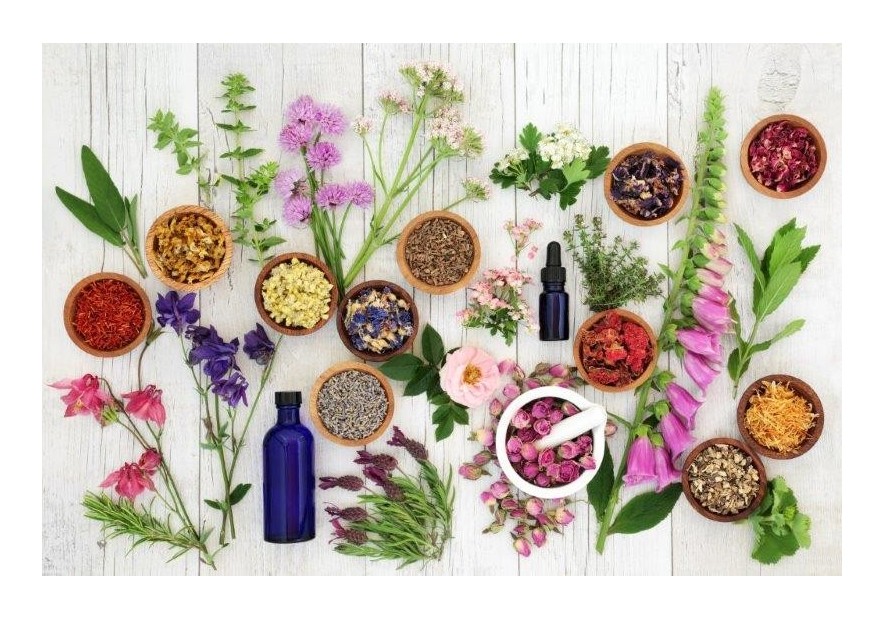 L'élixir du Suédois, une potion traditionnelle aux origines anciennes,
