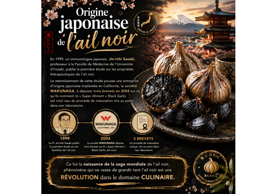 Origine de l'ail noir : histoire et invention japonnaise