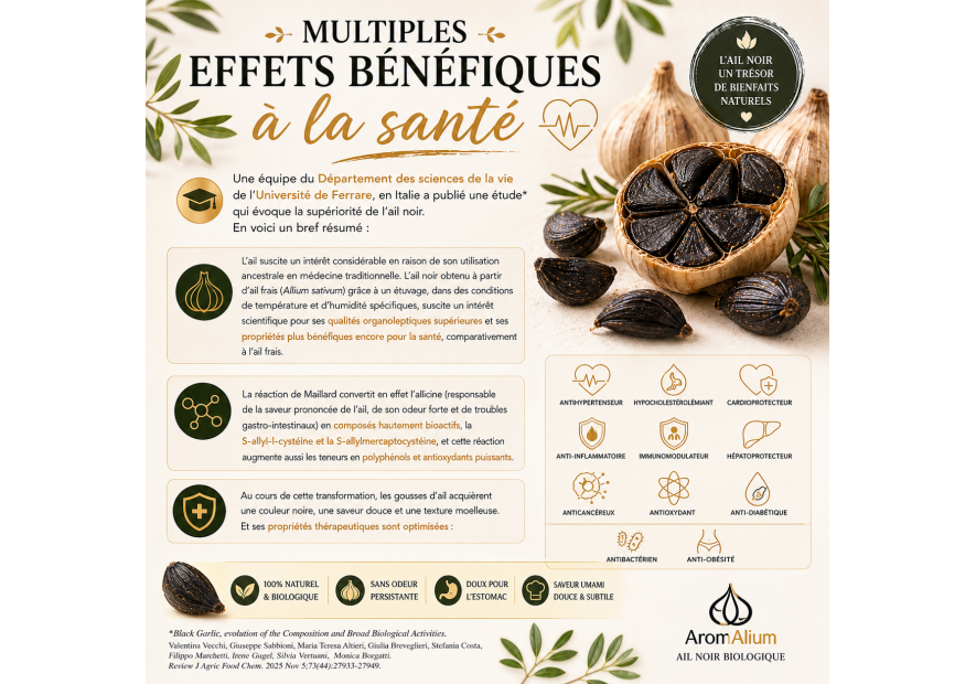 Ail noir bienfaits santé prouvé